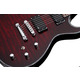 SCHECTER Hellraiser Solo-6 E/A BCH - напівакустична електрогітара Зображення
