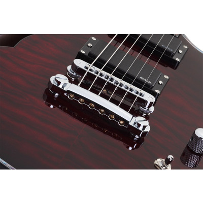 SCHECTER Hellraiser Solo-6 E/A BCH - напівакустична електрогітара Зображення