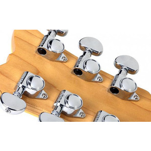 SCHECTER Shaun Morgan Signature 3TSB - Электрогитара Изображение