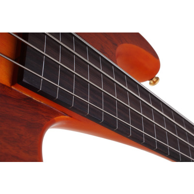 SCHECTER STILETTO STUDIO-4 FL HSN - Бас гитара четырехструнная, безладовая Изображение