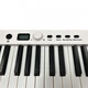 Складане цифрове піаніно (в комплекті з чохлом) Musicality CP88-WH _CompactPiano Зображення