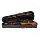 Скрипичный комплект GEWApure EW 1/16 Изображение