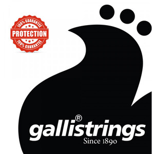 Струны для электрогитары Gallistrings EG1252 BLUES HEAVY Изображение