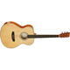 SX SO104G - Акустическая гитара Изображение