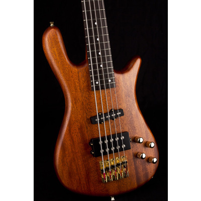 SX SWB1/5/NA - п'ятиструнна бас-гітара (копія 'Warwick Bass') Зображення