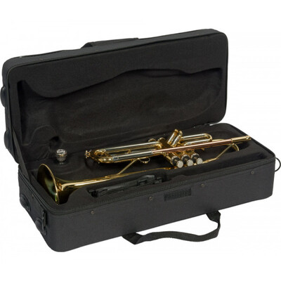 Труба SML TP300 Зображення