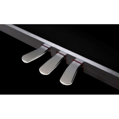 Цифровое пианино The ONE PLAY (Black) Изображение