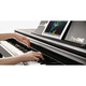 Цифровое пианино The ONE PLAY (Black) Изображение