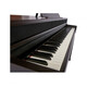 Цифрове піаніно The ONE TOP2 (Rosewood) Зображення