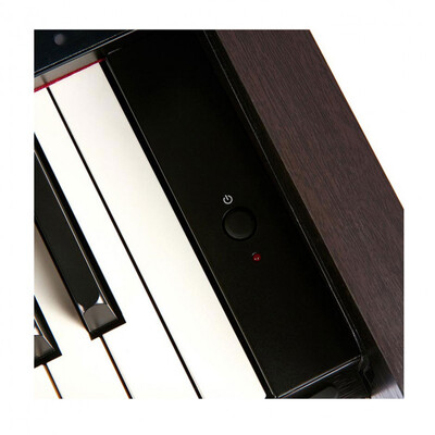 Цифрове піаніно The ONE TOP2 (Rosewood) Зображення