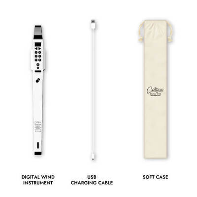 Цифровий духовий інструмент Carry-On Зображення