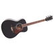 Акустическая гитара Vintage V300BK Изображение