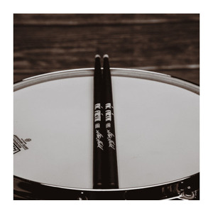 Барабанні палички VIC FIRTH SSG SIGNATURE SERIES STEVE GADD Зображення