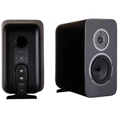 Виниловая акустическая система Rega System One Изображение