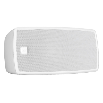 Двухполосная акустическая система для инсталляций и фонового озвучания RCF WMR 60TW Изображение