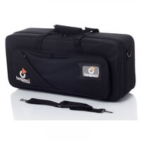 Кофр для кларнета BESPECO FOAM530CT Изображение