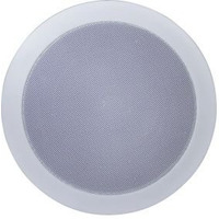 Стельовий динамік Younasi Y-19P, 5 ", 3-6Вт, 100В Зображення