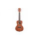 Укулеле KALA MAHOGANY CONCERT UKULELE WITH BINDING Зображення