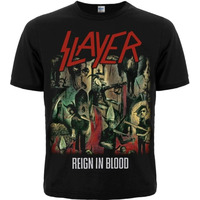 Футболка Slayer "Reign In Blood" Изображение