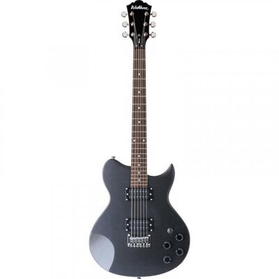 Акустическая система Washburn WI14 B Изображение