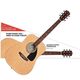 Набір для початківців гітаристів Fender FA-115 Dreadnought Pack Natural (971110421) Зображення