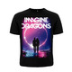 Футболка Imagine Dragons "Evolve" Изображение