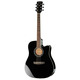 Електроакустична гітара Ibanez PF15ECE BK Зображення