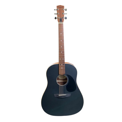 Акустична гітара дредноут Premiere PSD100 Зображення