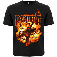 Футболка Pantera (гітара у полум'ї) Зображення