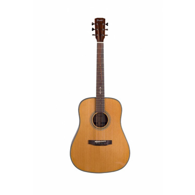 Акустическая гитара Prima DSAG219 Acoustic Guitar Изображение