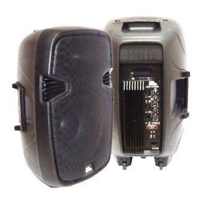 Акустична система 4all Audio LSA-15-USB Зображення