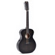 Двенадцатиструнная электроакустическая гитара Sigma GM12E-BKB Изображение