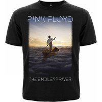 Футболка Pink Floyd "The Endless River" Изображение