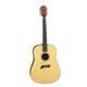 Акустическая гитара Michael Kelly V5 4/4 Изображение
