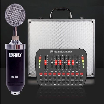 Портативний голосовий процесор для караоке PC-V8II Зображення