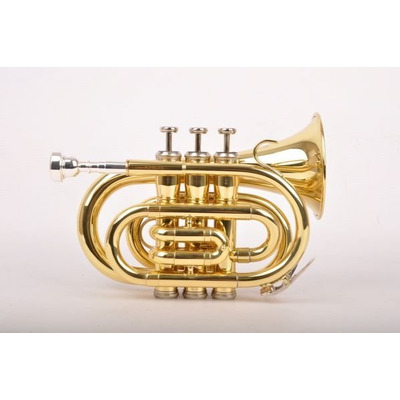 Карманная труба Birdland Pocket Trumpet BPT-23 Изображение