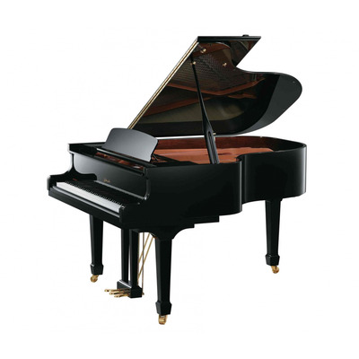 Рояль Ritmuller GH170R Ebony EU Изображение