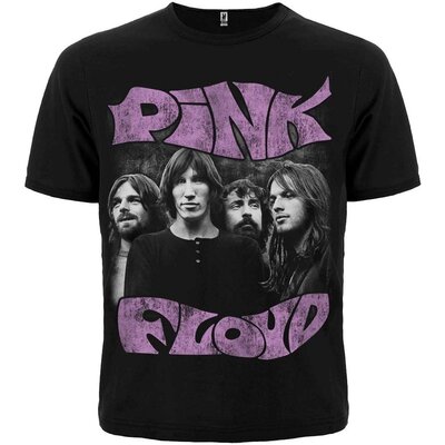 Футболка Pink Floyd (logo and photo) Зображення