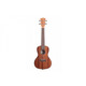 Укулеле KALA MAHOGANY CONCERT GLOSS UKULELE Изображение
