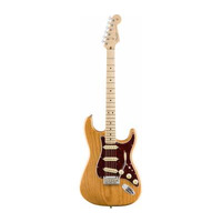 Електрогітара FENDER AMERICAN PROFESSIONAL LIMITED EDITION STRATOCASTER MN AGN Зображення