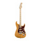Електрогітара FENDER AMERICAN PROFESSIONAL LIMITED EDITION STRATOCASTER MN AGN Зображення