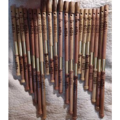 Теленка Бойківська весняна скосівка Зображення