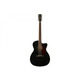 Гитара электроакустическая FENDER PM-3CE TRIPLE-O MAHOGANY BLACK TOP LTD Изображение
