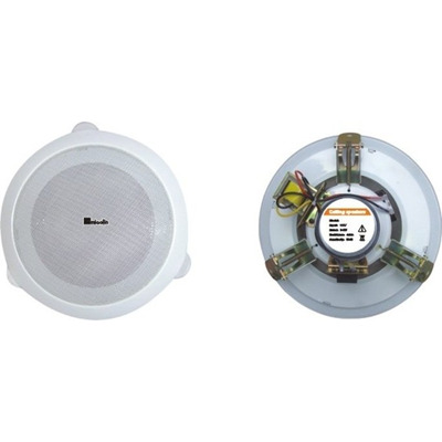 Стельовий динамік Younasi Y-601A, 4.5 ", 3-6Вт, 100В Зображення