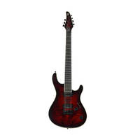 Ел. гітара Mayones Regius 7 Bariton (T-DRED-B-6) Изображение