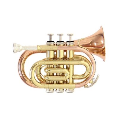 RB701020 Кишенькова труба Roy Benson PT-302 Изображение