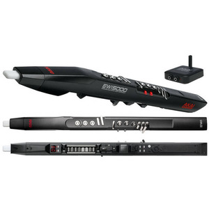 Духовий електронний інструмент Akai EW1 5000S Зображення