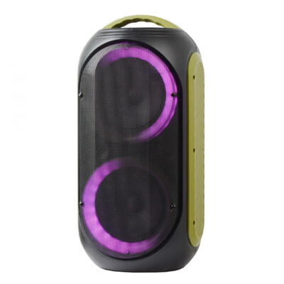 Активна акустична система з акумулятором SHILE Sl-2019C Зображення