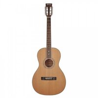 Гітара акустична Richwood RV-70-NT blues guitar Зображення