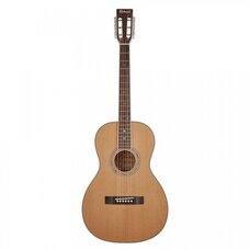 Гитара акустическая Richwood RV-70-NT blues guitar Изображение